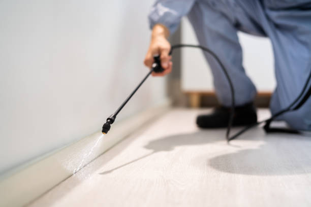 Licensed Fumigation Services service in Lone Tree, CO - Nex Pest Control