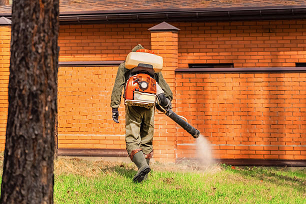 Trusted Termite Control service in Lone Tree, CO - Nex Pest Control